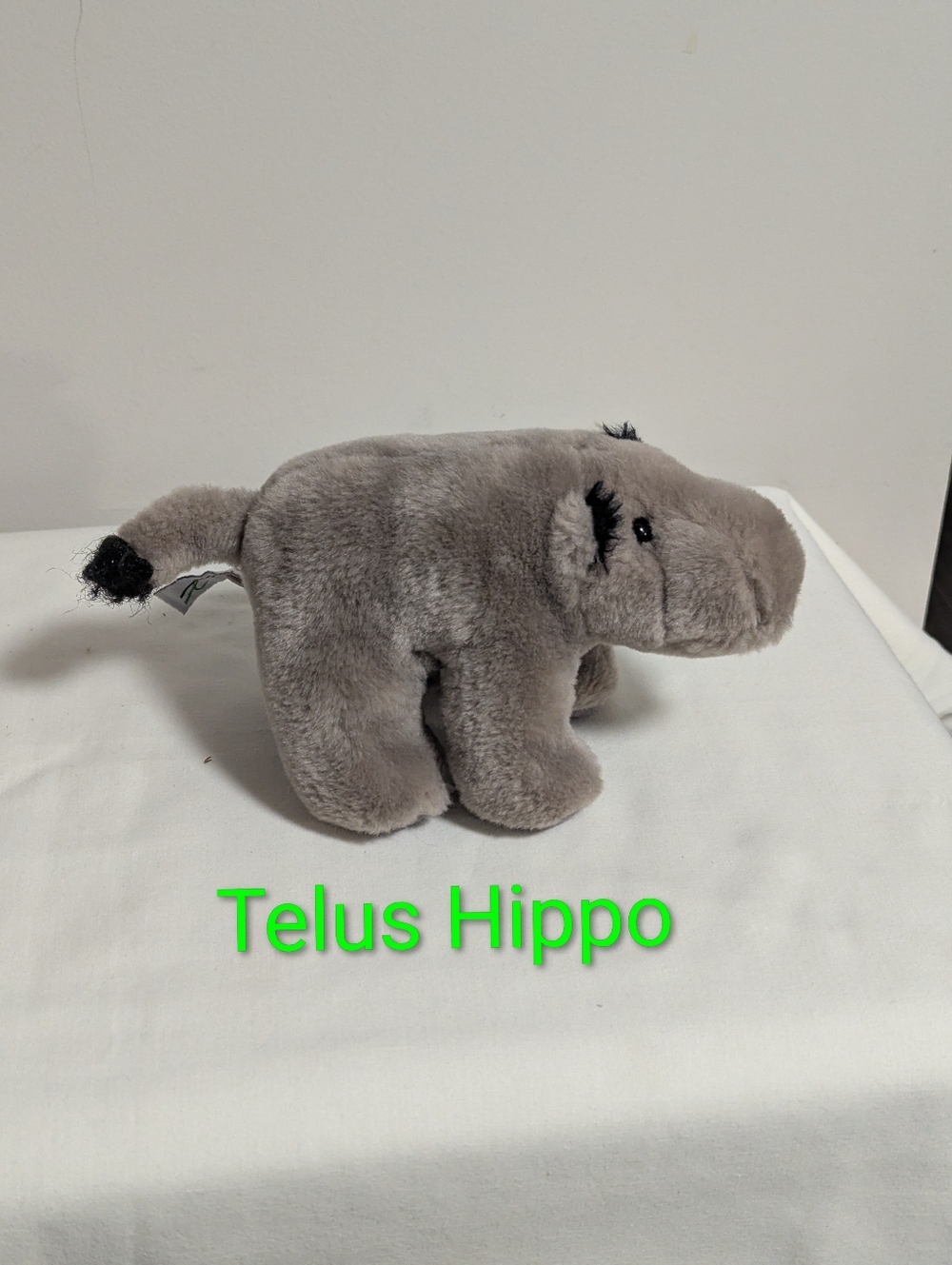 Telus. Gray Plush Hippo Stuffed Animal. 7 Inches. K&M International. GUC